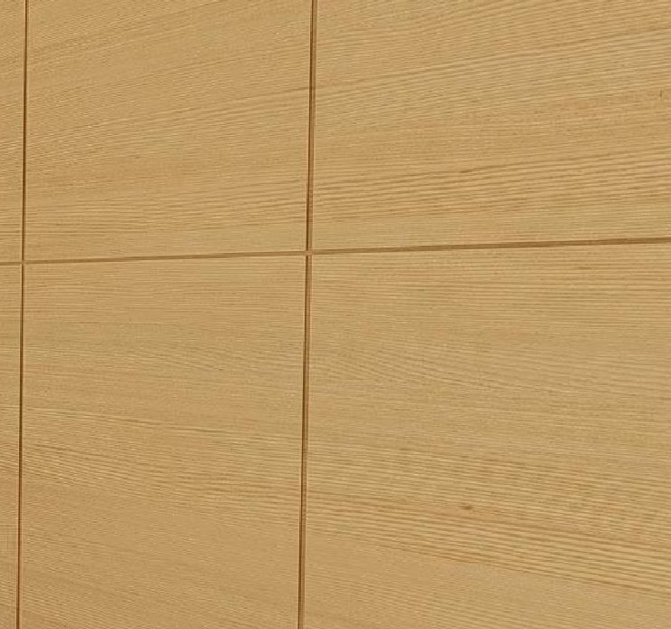 Architect's rendering. Close-up of timber wall panelling.